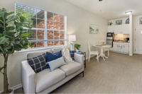 Apartment Living Room